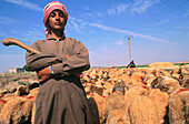 Shepherd. Syria