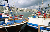 Harbour. Algeciras. Cádiz province. Andalucia. Spain.