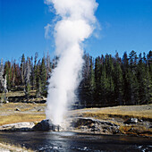 Riverside geyser. Yellowstone National Park. Wyoming. USA.