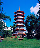 Pagoda in chinese garden. Singapore