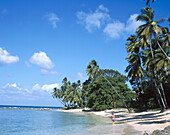 Gibbs west coast beach. Mullins Bay. Barbados. West Indies