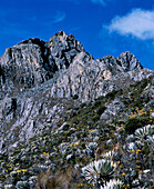 Peak Bolivar in Sierra Nevada National Park. Merida State. Venezuela