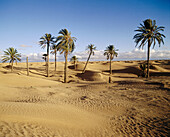 Desert. Douz. Tunisia.