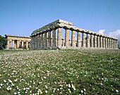 Doric Greek temples. Paestum. Campania, Italy