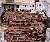 Tanner s quarter. Fes. Morocco.