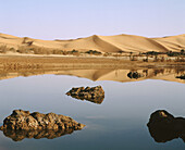 Oued Saoura. Sahara. Algeria.