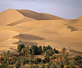 Grand Erg Occidental. Sahara. Algeria.