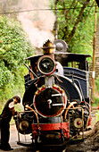 World Heritage toy train (b1889). Darjeeling. West Bengal. India