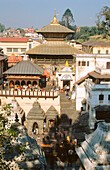 Pashupatinath Temple. Kathmandu. Nepal