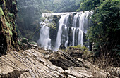 Satoddi Falls, Yellapur. Karnataka, India