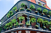 Iron lace balconies. French quarter. New Orleans. Louisiana. USA