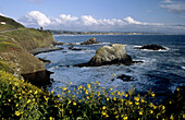 Rugged Oregon coast, USA
