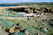 Aruba s Natural Bridge. Aruba, Dutch Caribbean