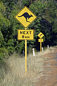 Road sign warning for Kangaroos outside Perth. Western Australia, Australia