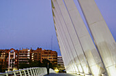 Bridge by Santiago Calatrava. Valencia. Spain