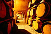 Wine cellar from Miceli Vinyard. Wine Rekale. Pantelleria Island. Sicily. Italy