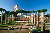 Roman Forum. Lazio. Italy