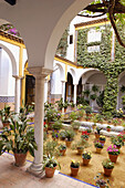 Typical courtyard at Santa Cruz district. Sevilla. Andalusia. Spain.