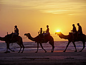 Sunset camel ride along the beach. Broome. Western Australia. Australia.