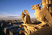 Gargoyles. Notre-Dame Cathedral. Paris. France