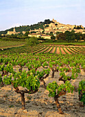 Vineyards. Bonnieux. Luberon. Provence. France
