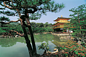 Kinkaku-Ji (Golden Pavilion). Kyoto. Japan