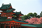 Heian Shrine tile roofs at spring. Sherry blossoms. Kyoto. Japan