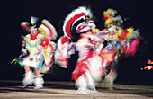 Navajo war dance. Intertribal ceremonial. Gallup. New Mexico. USA