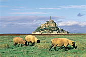Mont St. Michel. Normandy. France