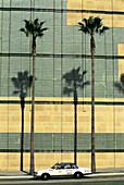 L.A. County Museum facade, Melrose ave. Los Angeles. California. USA