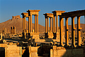 Ruins of the old Greco-roman city of Palmira. Syria