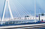 Erasmus bridge. Rotterdam. Holland