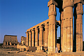 Colonnade. Luxor. Egypt