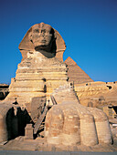The Sphinx. Gizeh. Egypt