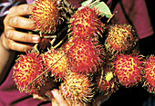 Rambutan fruits. Ubud market. Bali