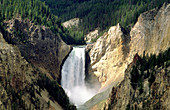Lower Falls. Yellowstone National Park. Wyoming. USA
