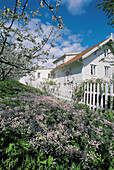 Garden at spring. Utne. Hardanger Fjord. Norway