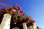 Detail of pergola at hotel resort. Cyprus