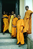 Young monks at porch of Buddhist seminary. Sri Lanka