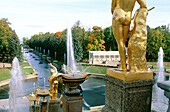 Peterhof Park, golden statues and water works. St. Petersburg. Russia