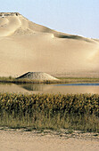 Source in the desert among sand dunes, Lybian desert and oasis. Egypt