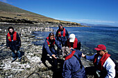 Zodiac Anlandung von MS Europa Passagieren auf Saunders Isl., Falkland-Inseln, Südamerika