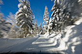 Fahrt auf winterlicher Straße, Oberbayern, Bayern, Deutschland