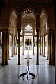 Alhambra. Granada. Andalucia. Spain