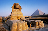 The sphinx in the pyramids area. Gizeh (Cairo suburbs). Egypt