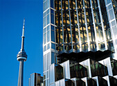 CN Tower and office buildings at fore. Toronto. Ontario, Canada