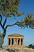 Temple of Concorde built 5th century AD in classical doric style, considered as the greek temple in best condition in the world. Agrigente. Sicily. Italy.