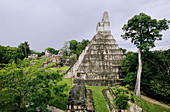 Petén forest. Maya archeological site of Tikal. Guatemala