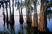 Atchafalaya bayou and swamps. Louisiana. United states (USA)