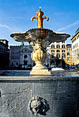 Fountain in Piazza Farnese. Rome, Italy